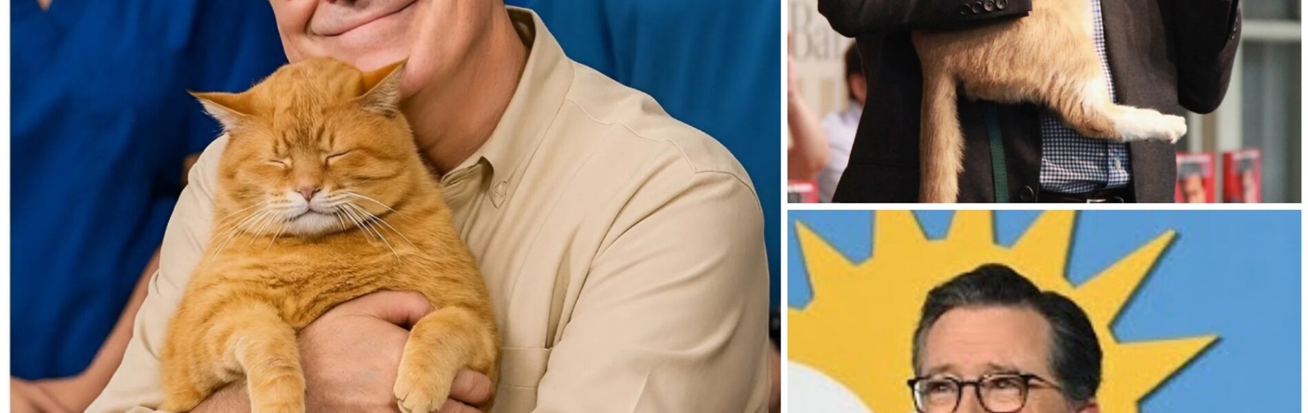 BREAKING GOOD NEWS: Stephen Colbert sets the internet ablaze with a heartwarming announcement, revealing plans to invest $10 million into building a “paradise” for stray dogs and cats.