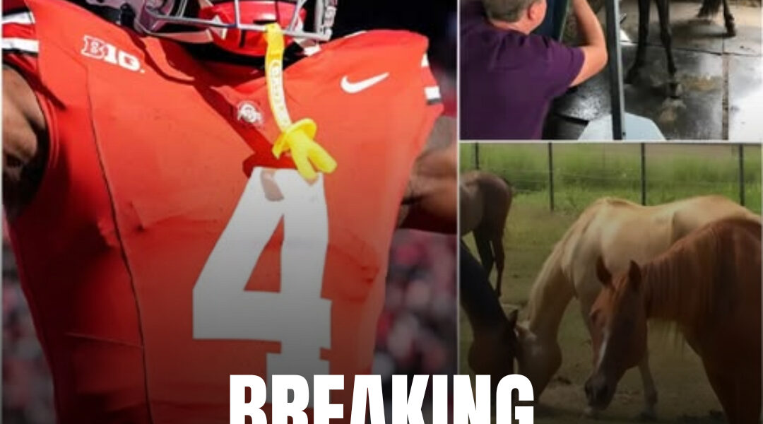 Jeremiah Smith’s $4 Million Gamble: How an Ohio State Star Is Saving Horses — and Changing Lives