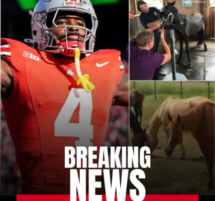 Jeremiah Smith’s $4 Million Gamble: How an Ohio State Star Is Saving Horses — and Changing Lives