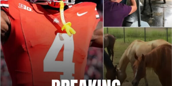 Jeremiah Smith’s $4 Million Gamble: How an Ohio State Star Is Saving Horses — and Changing Lives
