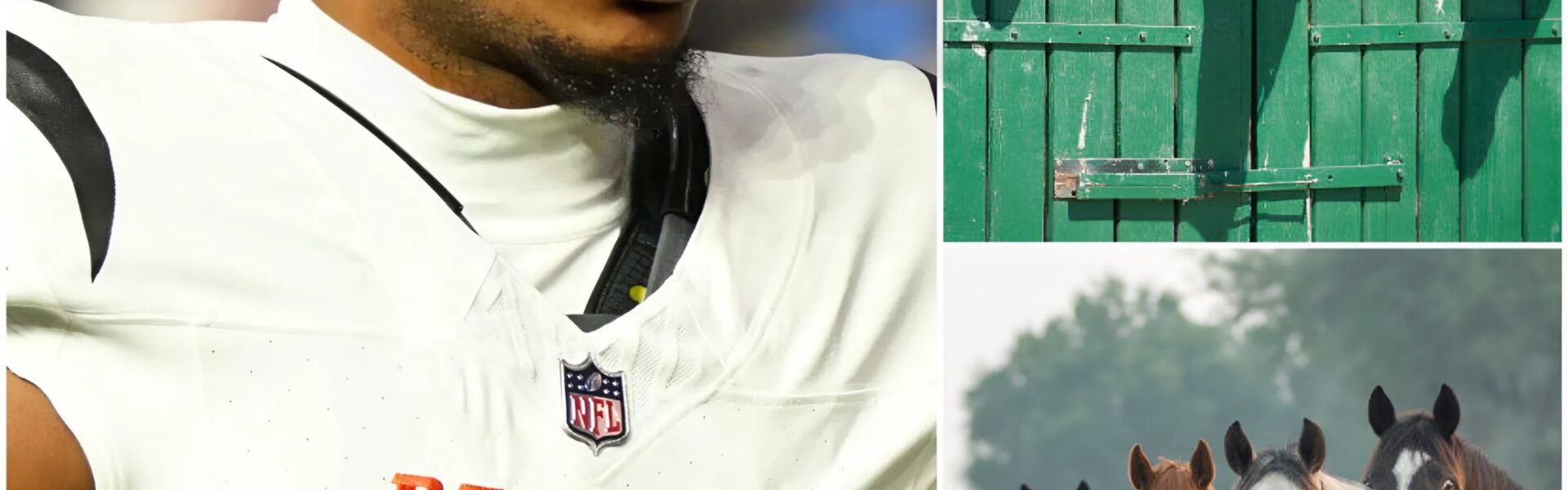 BREAKING NEWS: Ja’Marr Chase, superstar wide receiver of the Cincinnati Bengals, has just launched Freedom Ranch — a 150-acre sanctuary in California worth over $6 million, dedicated to rescuing abandoned and abused horses. “This is more than a shelter,” Chase said.