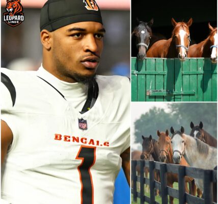 BREAKING NEWS: Ja’Marr Chase, superstar wide receiver of the Cincinnati Bengals, has just launched Freedom Ranch — a 150-acre sanctuary in California worth over $6 million, dedicated to rescuing abandoned and abused horses. “This is more than a shelter,” Chase said.