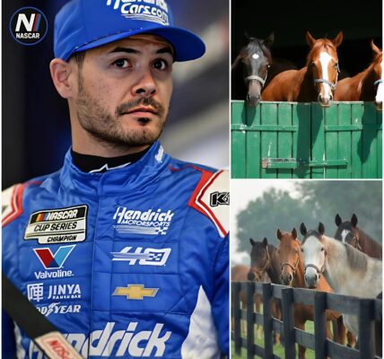 BREAKING NEWS: Kyle Larson, NASCAR champion and one of the sport’s brightest stars, has just launched Freedom Ranch — a 150-acre sanctuary in California worth over $6 million, dedicated to rescuing abandoned and abused horses. “This is more than a shelter,” Larson said.