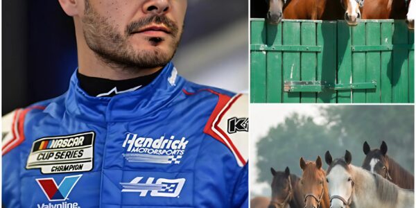 BREAKING NEWS: Kyle Larson, NASCAR champion and one of the sport’s brightest stars, has just launched Freedom Ranch — a 150-acre sanctuary in California worth over $6 million, dedicated to rescuing abandoned and abused horses. “This is more than a shelter,” Larson said.