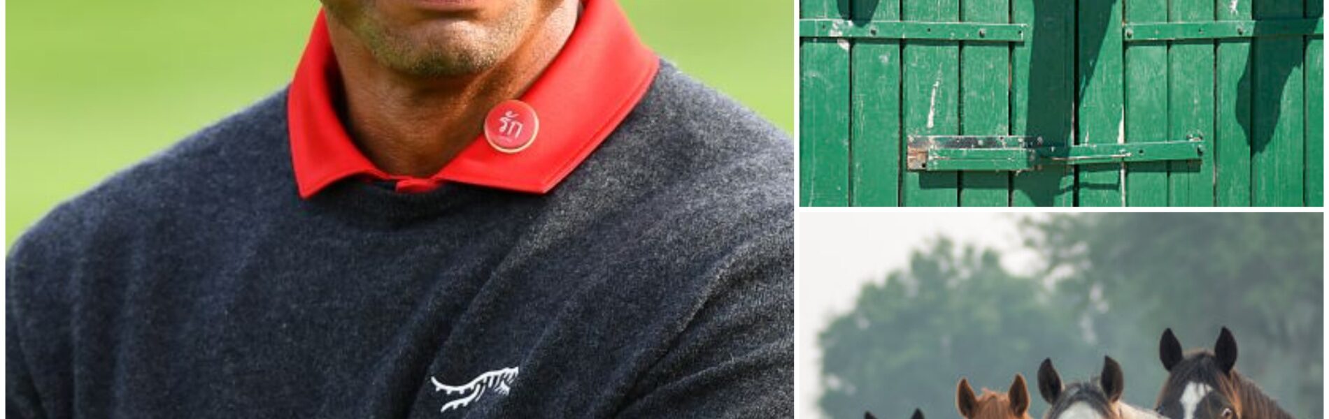 BREAKING NEWS: Tiger Woods, golf legend and one of the most iconic athletes of all time, has just launched Freedom Ranch — a 150-acre sanctuary in California worth over $6 million, dedicated to rescuing abandoned and abused horses. “This is more than a shelter,” Woods said.