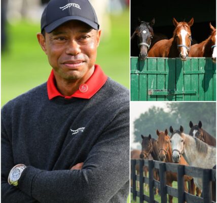 BREAKING NEWS: Tiger Woods, golf legend and one of the most iconic athletes of all time, has just launched Freedom Ranch — a 150-acre sanctuary in California worth over $6 million, dedicated to rescuing abandoned and abused horses. “This is more than a shelter,” Woods said.