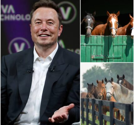 BREAKING NEWS: Elon Musk, the billionaire CEO of Tesla, SpaceX, and X, has just launched Freedom Ranch — a 150-acre sanctuary in California worth over $6 million, dedicated to rescuing abandoned and abused horses. “This is more than a shelter,” Musk said.