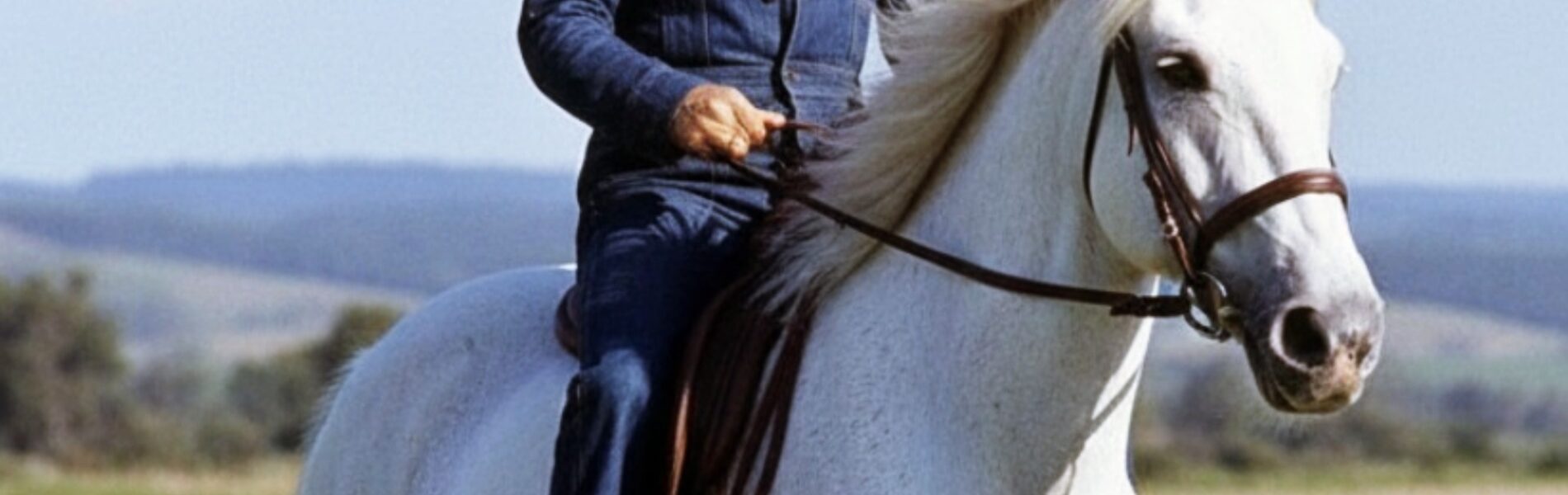 Waylon Jennings - Six White Horses