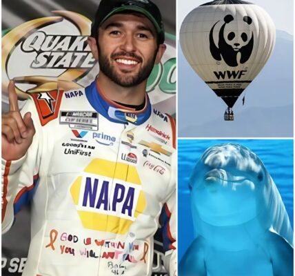 BIG MOVE : NASCAR champion Chase Elliott has proven that real victory isn’t only about crossing the finish line first. It’s about recognizing the urgent challenges facing our planet and taking bold steps to address them.