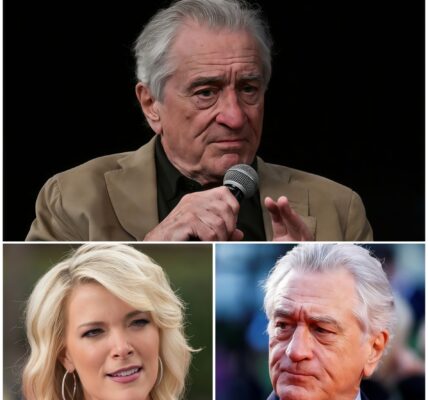 Robert De Niro Silences Megyn Kelly With Eight Words That Shook Live TV