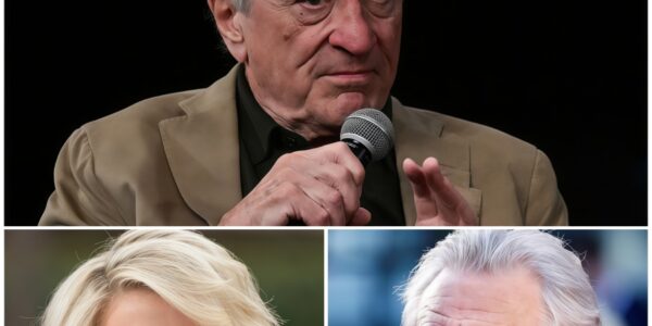 Robert De Niro Silences Megyn Kelly With Eight Words That Shook Live TV