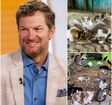 NASCAR legend Dale Earnhardt Jr. has captured hearts beyond the racetrack with the launch of “Victory Lane Haven,” a $5 million sanctuary for abandoned animals in North Carolina.