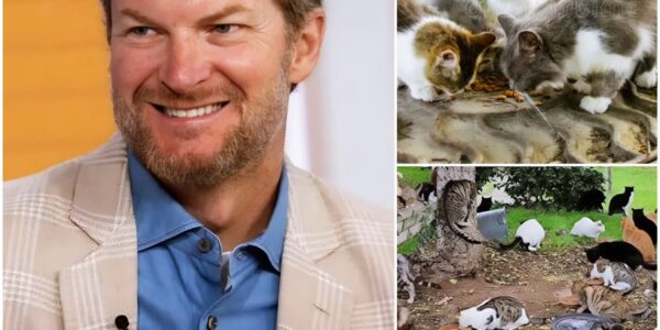 NASCAR legend Dale Earnhardt Jr. has captured hearts beyond the racetrack with the launch of “Victory Lane Haven,” a $5 million sanctuary for abandoned animals in North Carolina.