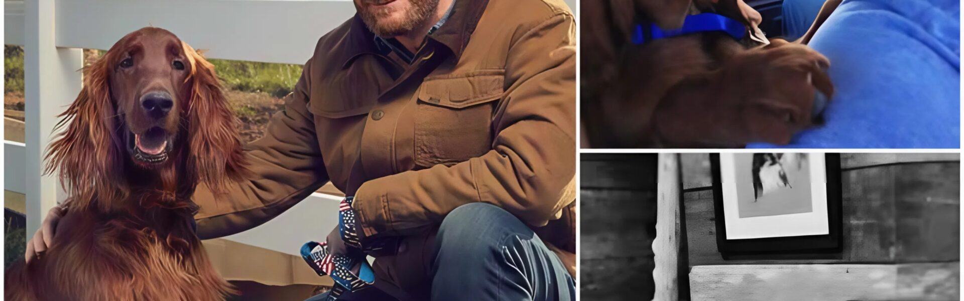 Dale Jr. has broken his silence and expressed his deep condolences to Lewis Hamilton after hearing the news of his dog's passing.And Dale Jr. has announced to fans the shocking NASCAR news that has left fans worried and praying as his beloved dog also...