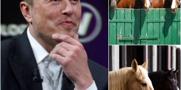 Elon Musk’s “Freedom Ranch”: A Billionaire’s Most Human Mission Yet - News